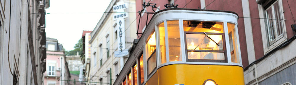 Dental Health, Naturally & Holistically